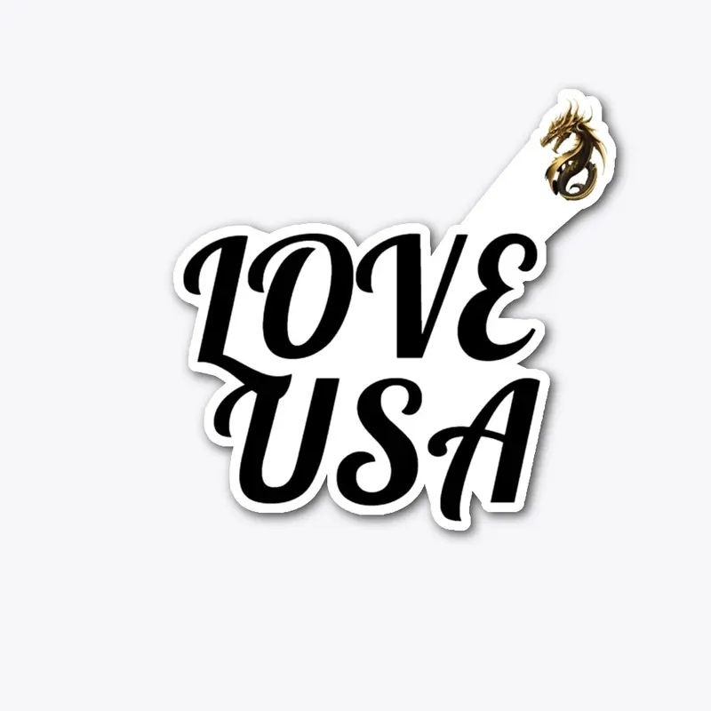 LOVE USA HOODIE